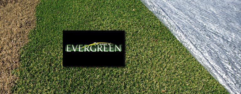 BTSI | Evergreen Turf Covers