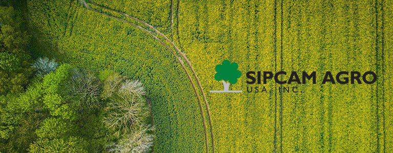 BTSI | SipCam BTSI | Sipcam
